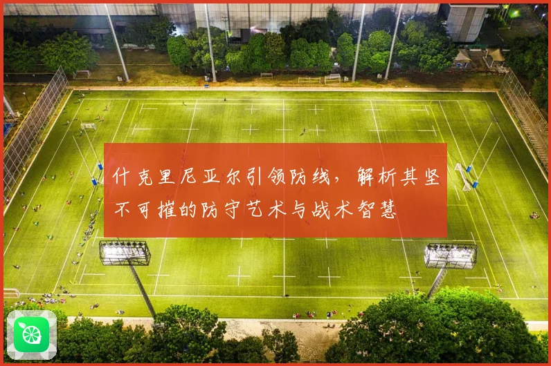 什克里尼亚尔引领防线，解析其坚不可摧的防守艺术与战术智慧