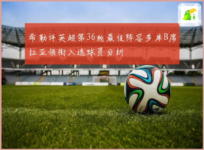 希勒评英超第36轮最佳阵容多库B席拉亚领衔入选球员分析